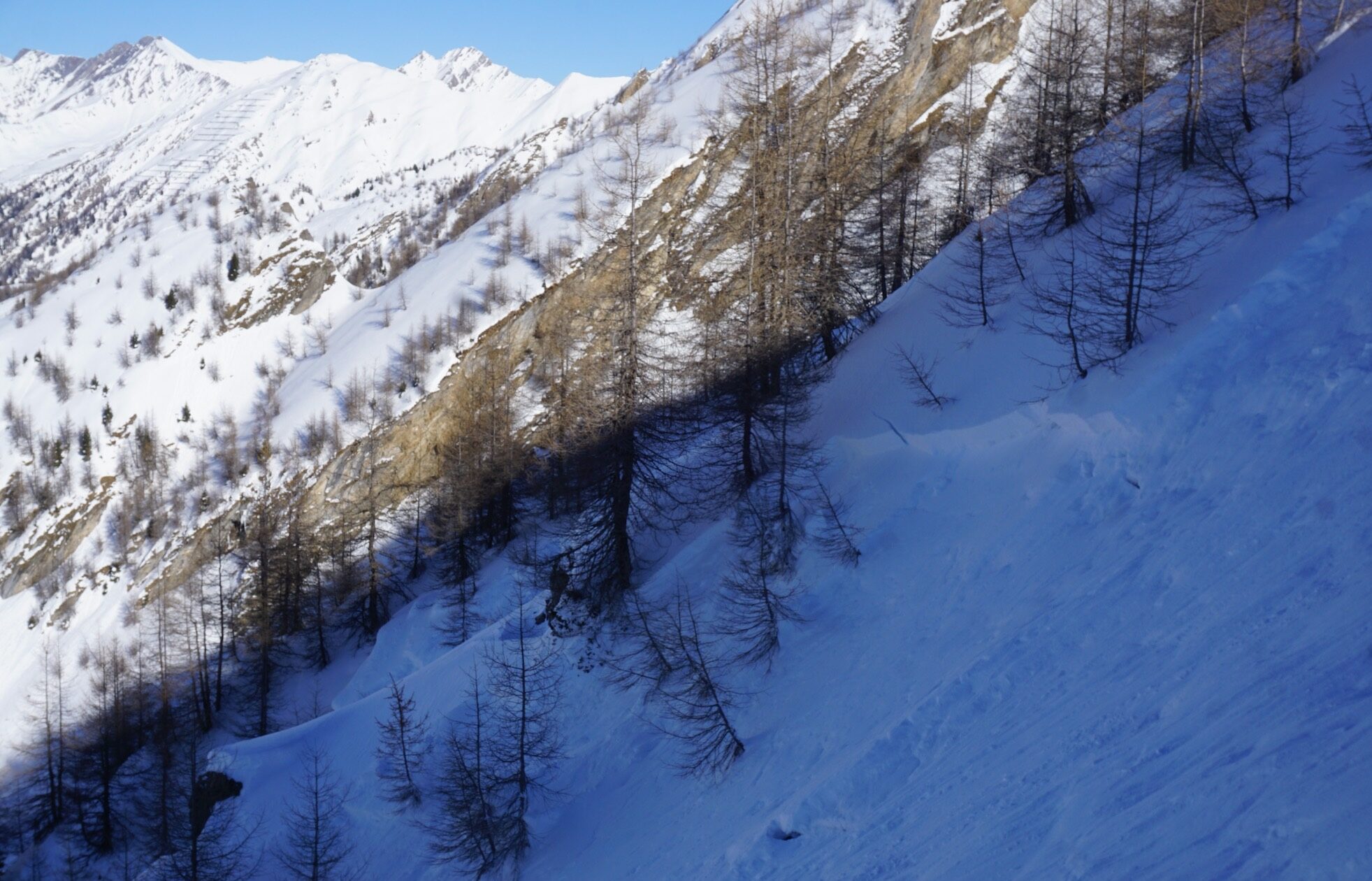 Che nel bosco si sia al sicuro dalle valanghe non è altro che un mito dei freerider. © snow institute I LWD Tirol