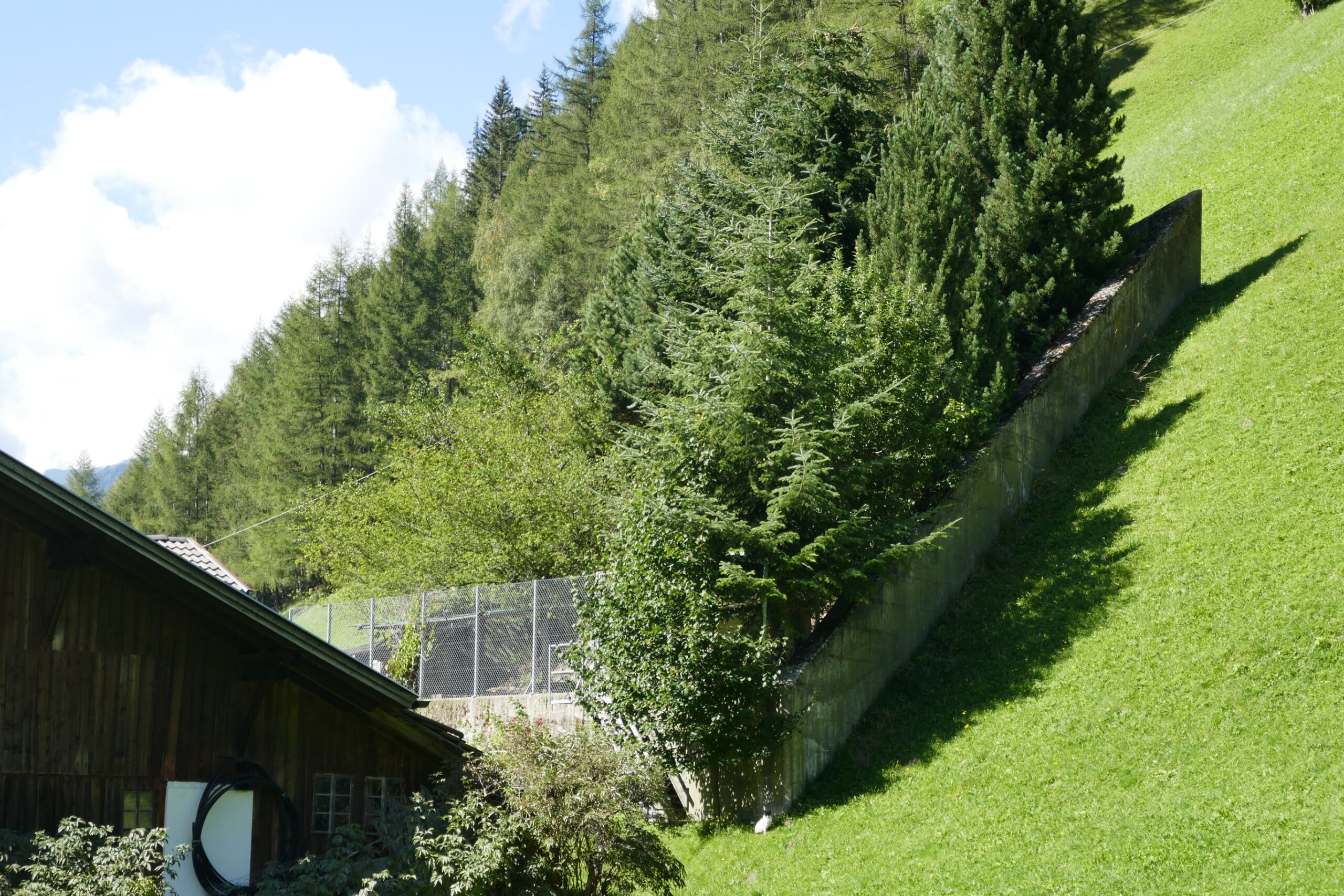 Lawinenkeil/Spaltkeil © Agentur für Bevölkerungsschutz - Südtirol I snow institute