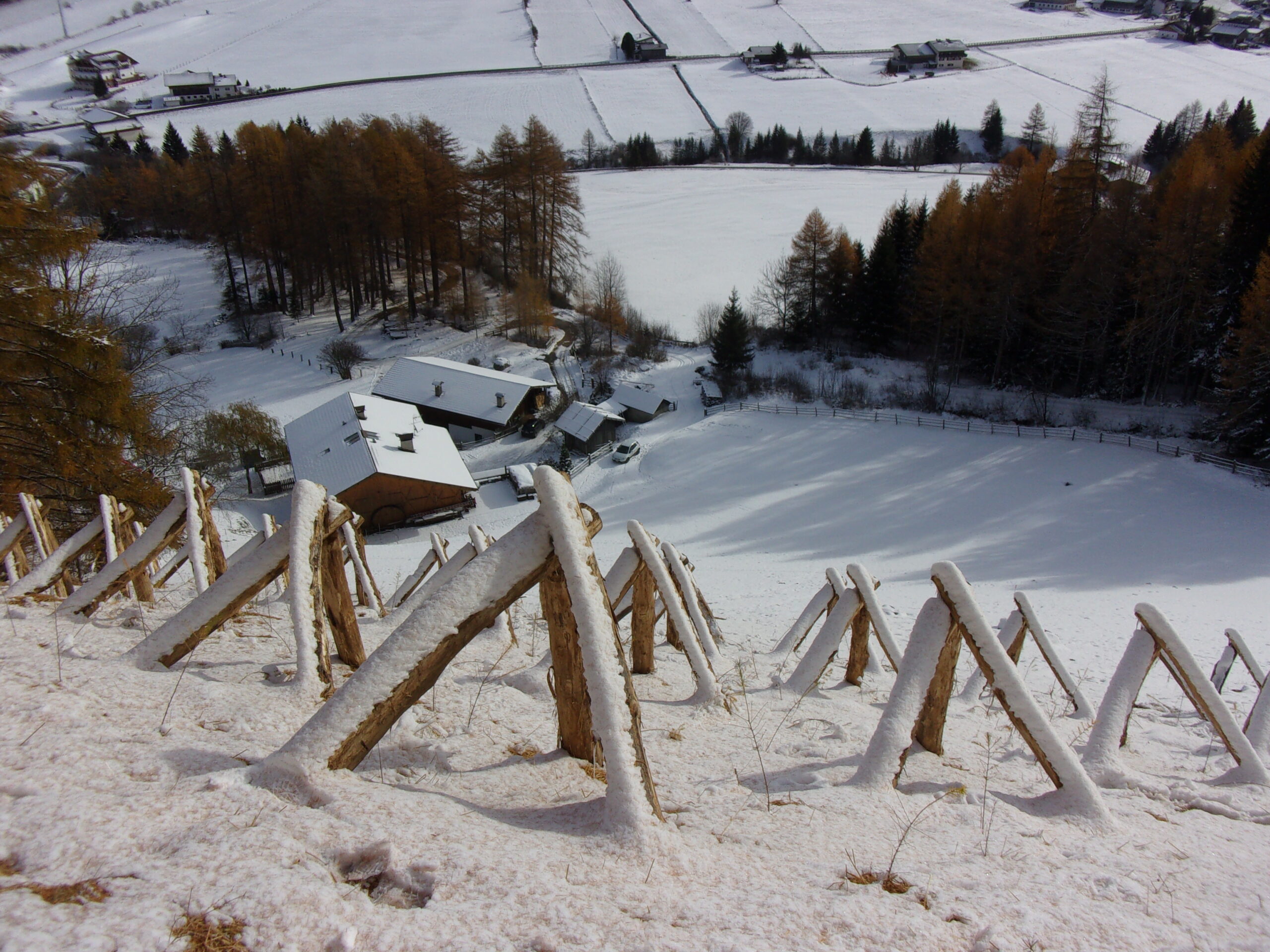 Dreibeinböcke (Gleitschneeböcke) © Agentur für Bevölkerungsschutz - Südtirol | snow institute