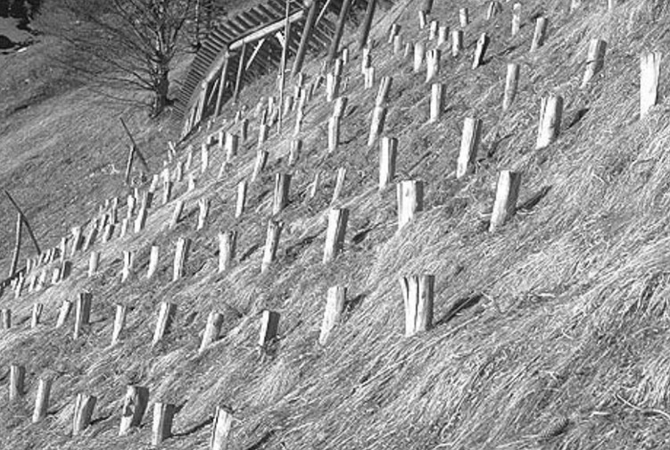 Verpfählungen © SLF | snow institute